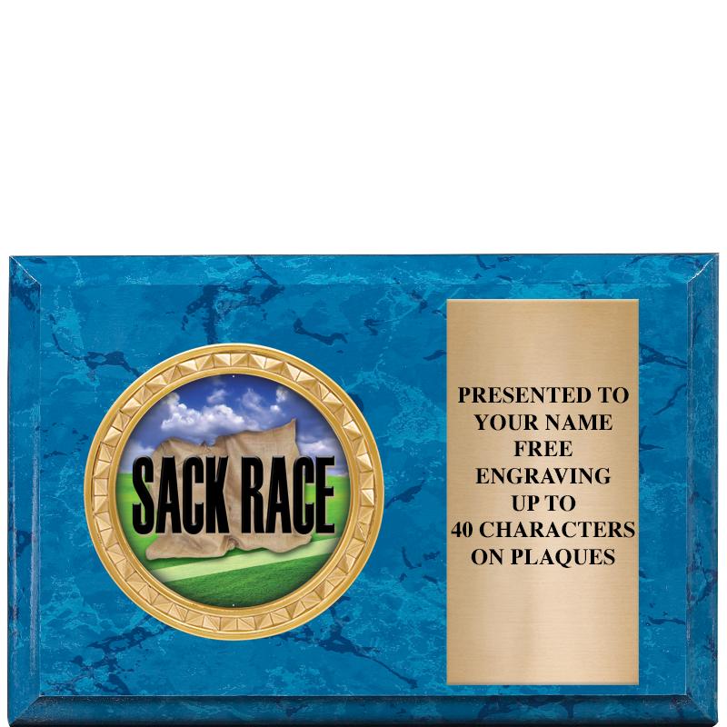 6" X 4" BLUE MBL INSERT PLQ