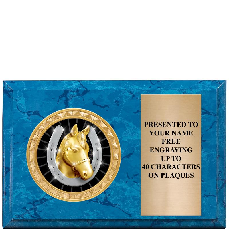 6" X 4" BLUE MBL INSERT PLQ