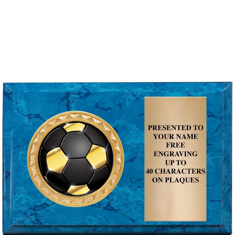 6" X 4" BLUE MBL INSERT PLQ