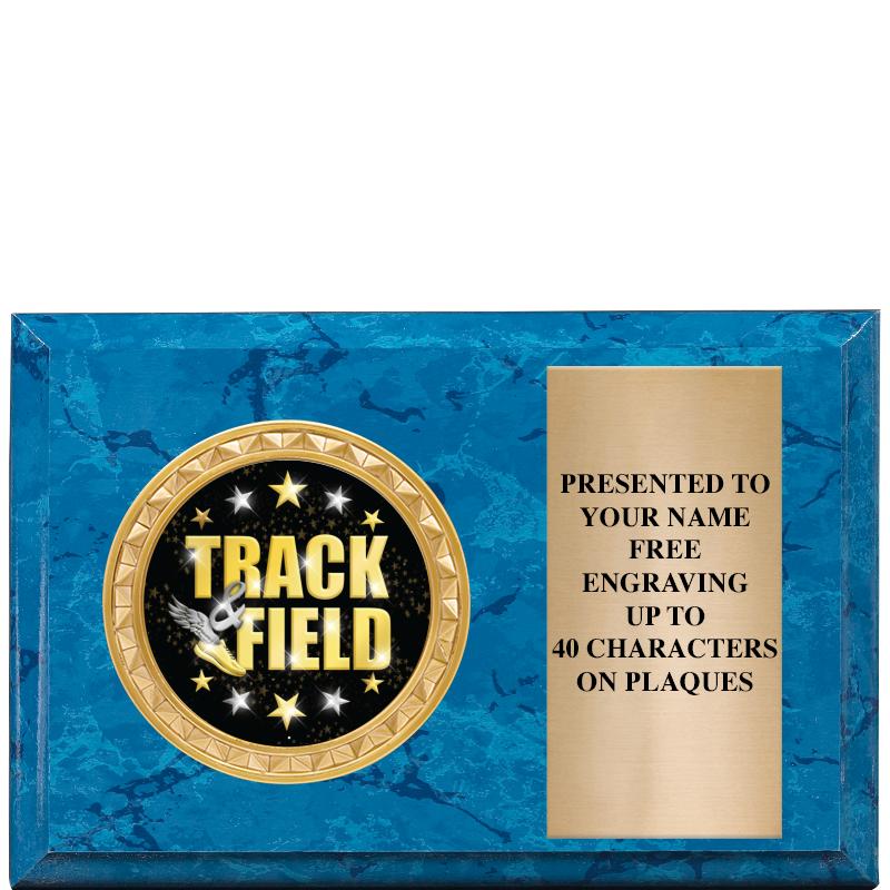 6" X 4" BLUE MBL INSERT PLQ