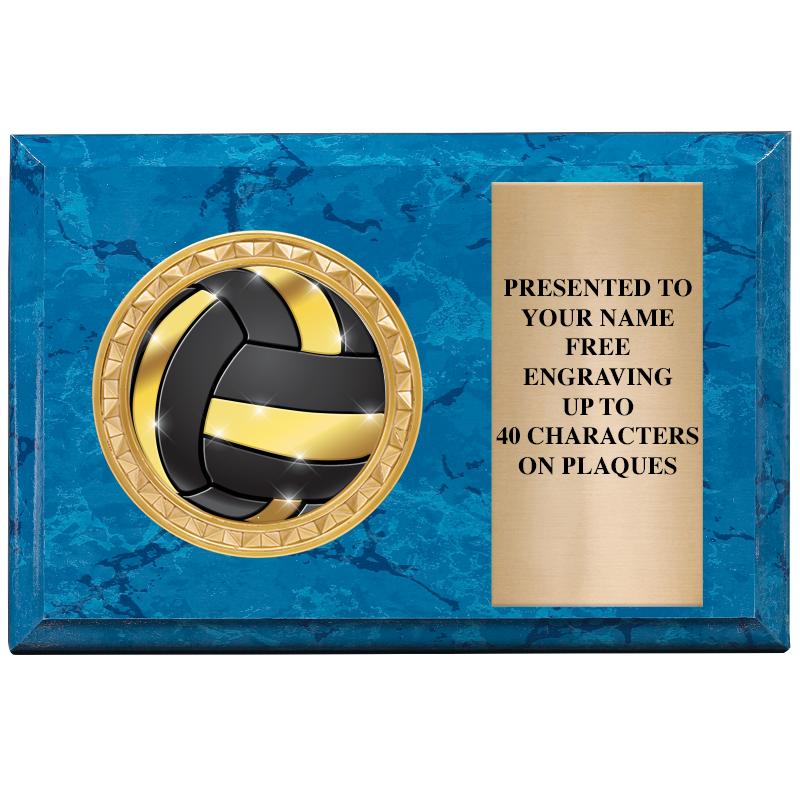 6" X 4" BLUE MBL INSERT PLQ