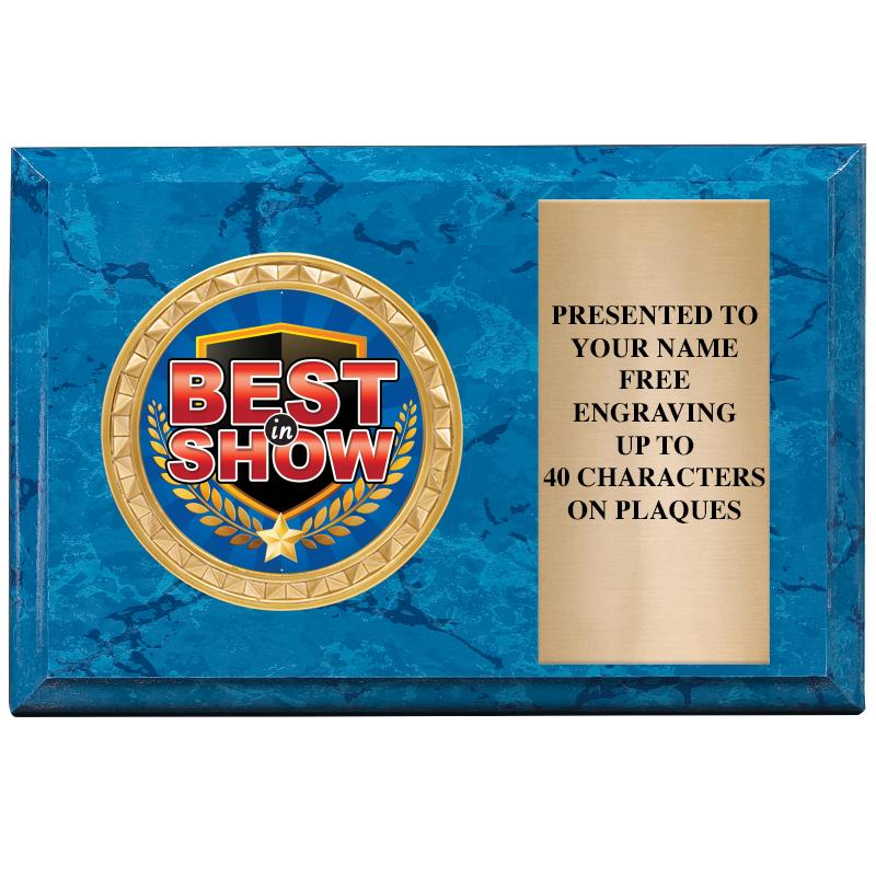 6" X 4" BLUE MBL INSERT PLQ