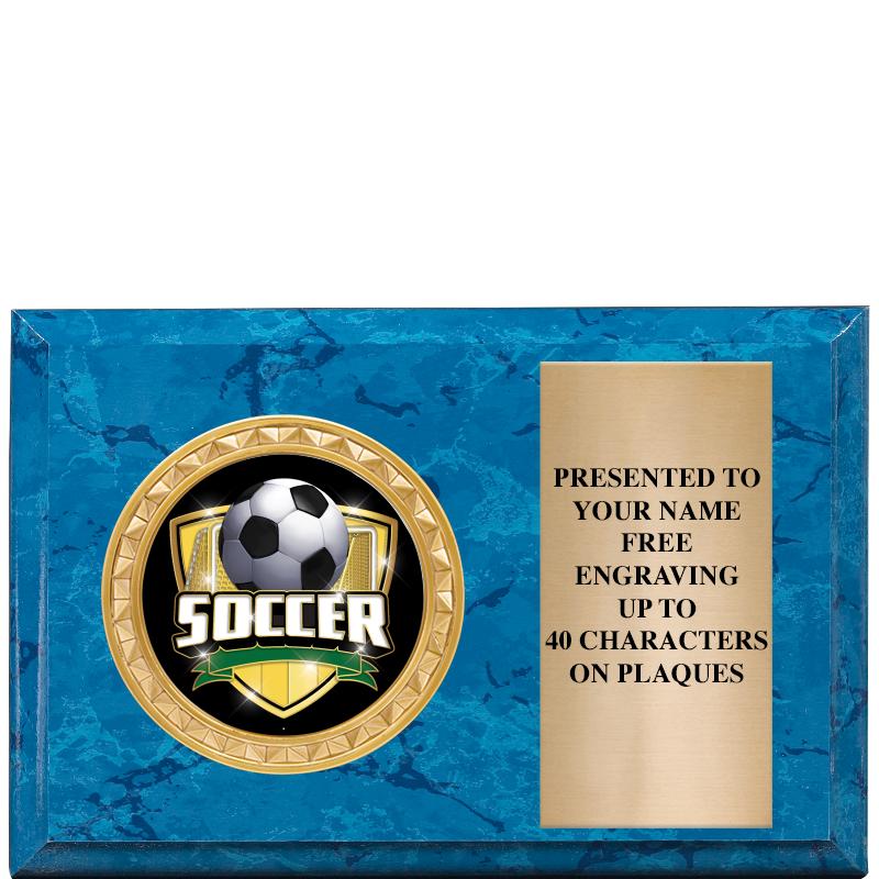 6" X 4" BLUE MBL INSERT PLQ