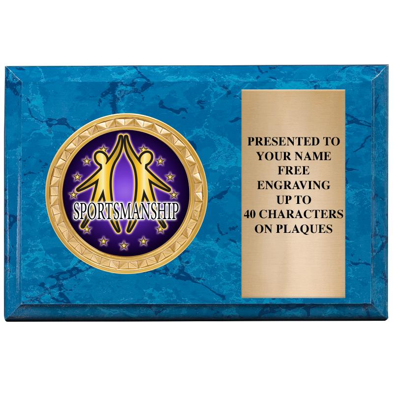 6" X 4" BLUE MBL INSERT PLQ