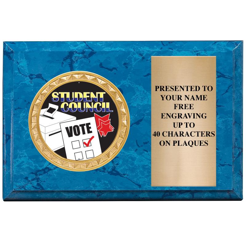 6" X 4" BLUE MBL INSERT PLQ