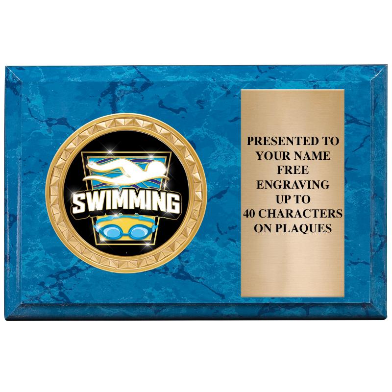 6" X 4" BLUE MBL INSERT PLQ