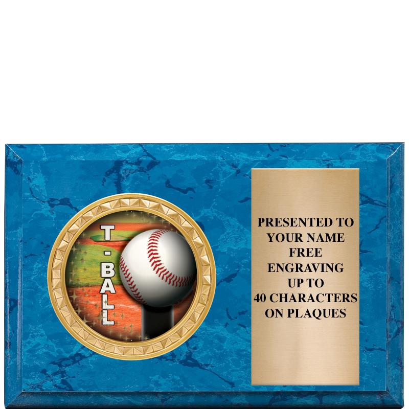 6" X 4" BLUE MBL INSERT PLQ