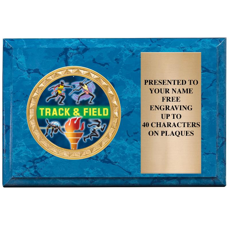 6" X 4" BLUE MBL INSERT PLQ