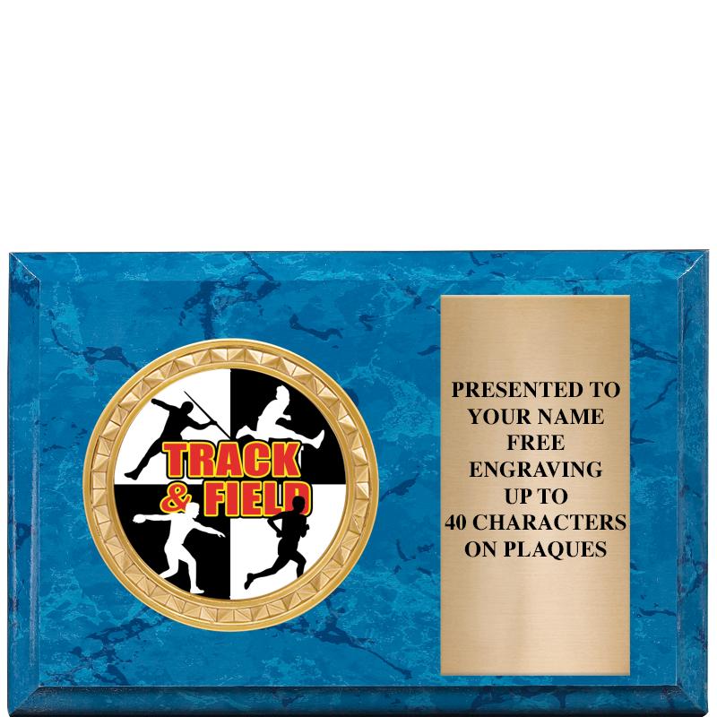 6" X 4" BLUE MBL INSERT PLQ