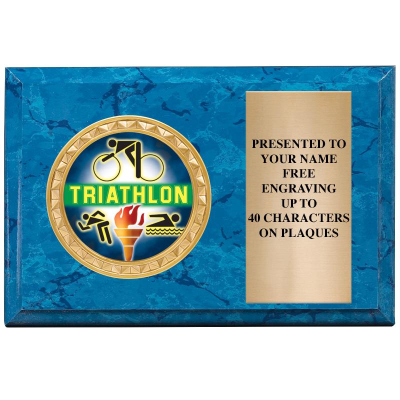 6" X 4" BLUE MBL INSERT PLQ