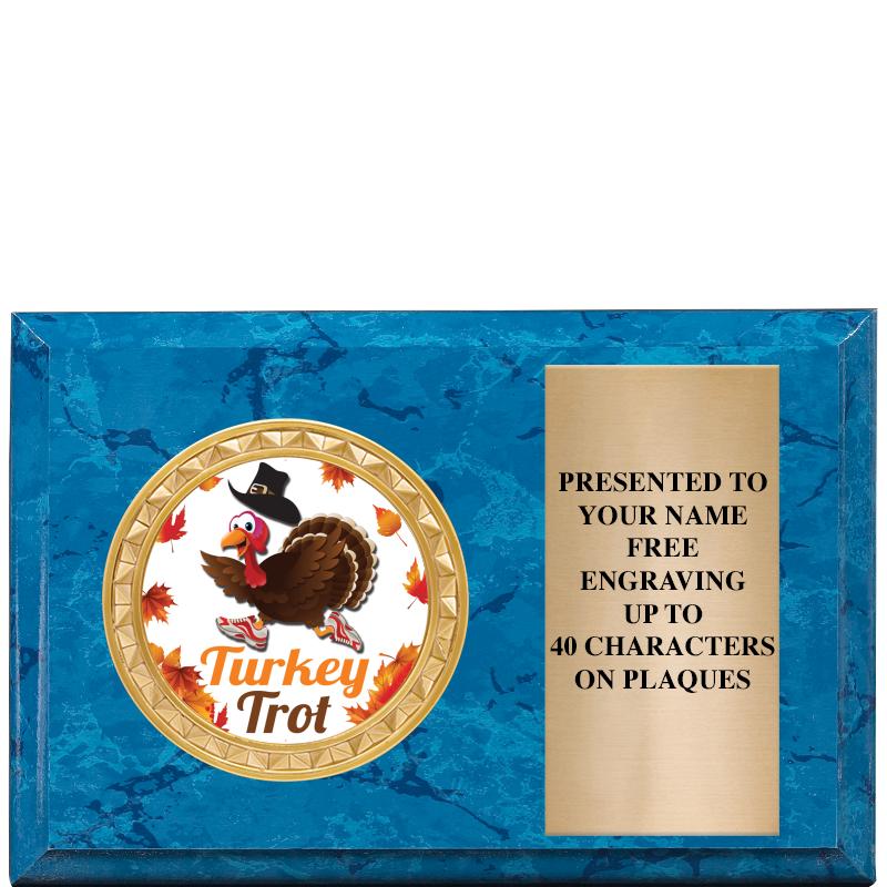 6" X 4" BLUE MBL INSERT PLQ