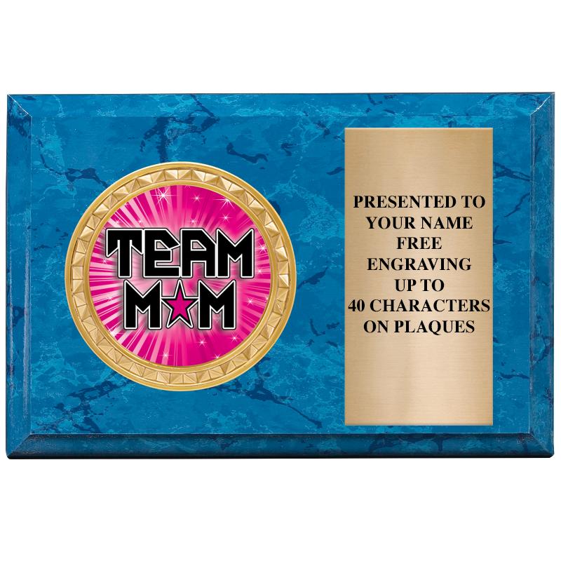 6" X 4" BLUE MBL INSERT PLQ