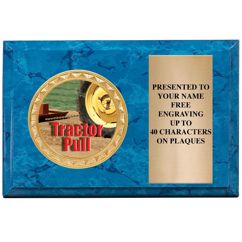 6" X 4" BLUE MBL INSERT PLQ