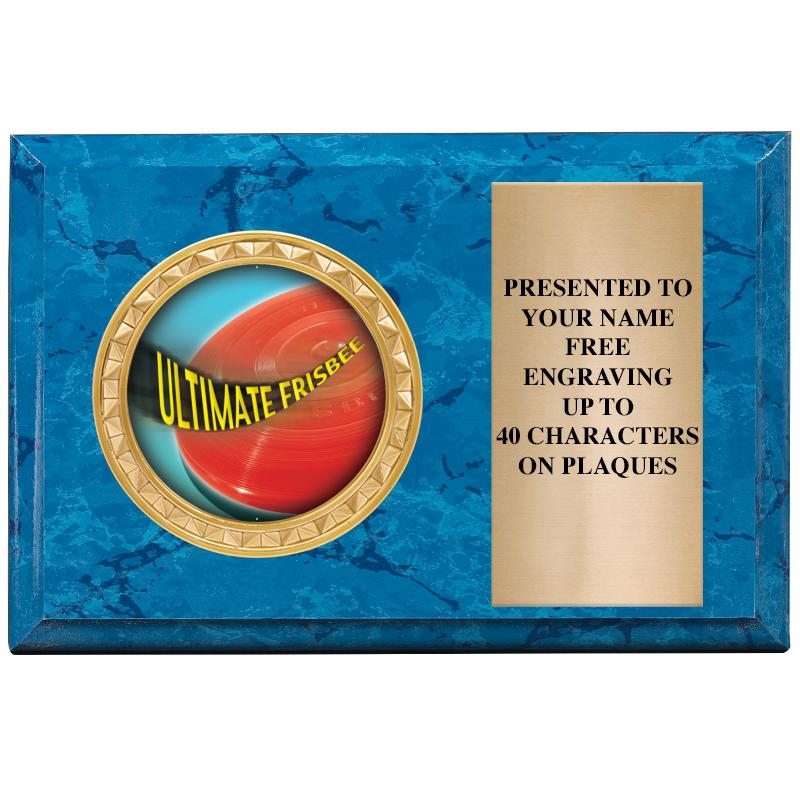 6" X 4" BLUE MBL INSERT PLQ