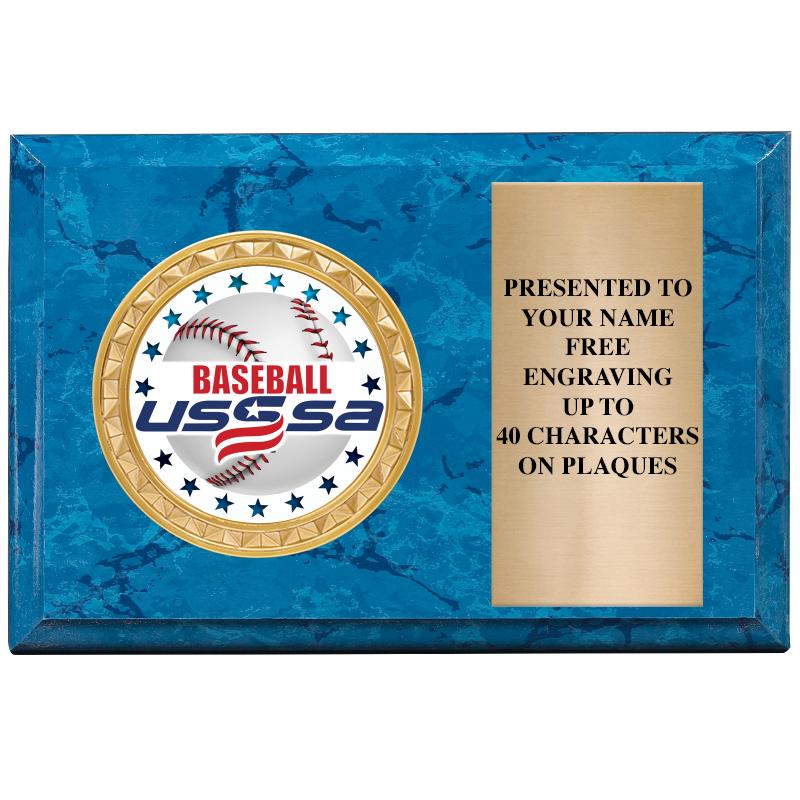 6" X 4" BLUE MBL INSERT PLQ