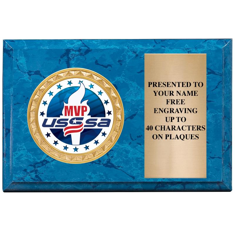 6" X 4" BLUE MBL INSERT PLQ