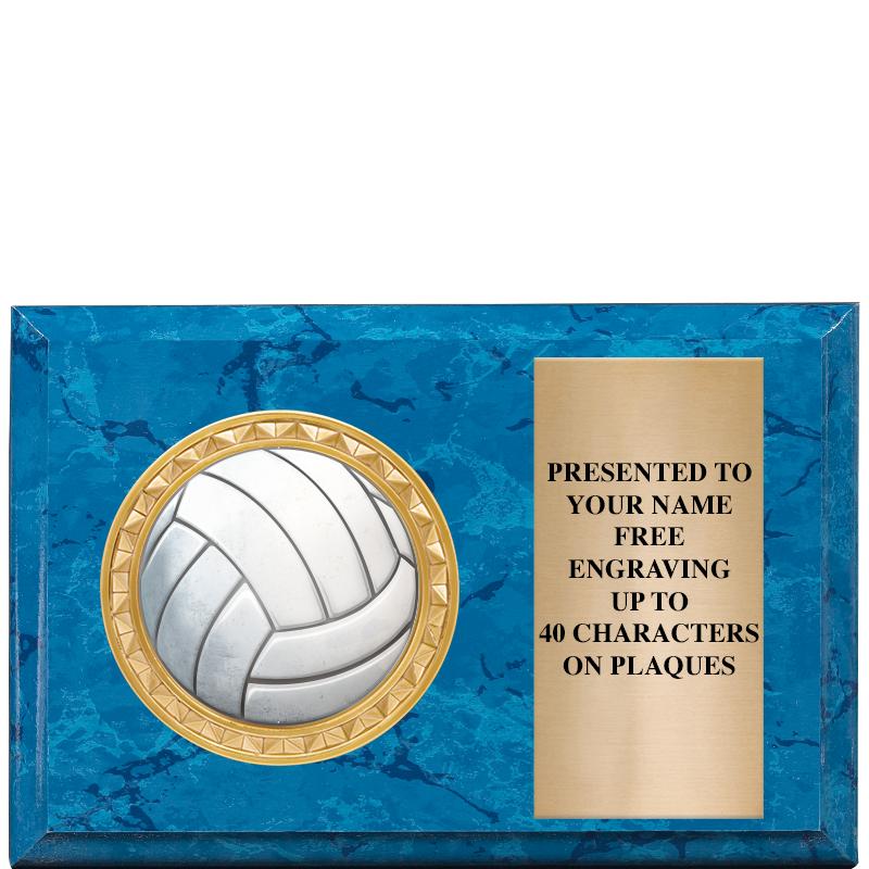 6" X 4" BLUE MBL INSERT PLQ