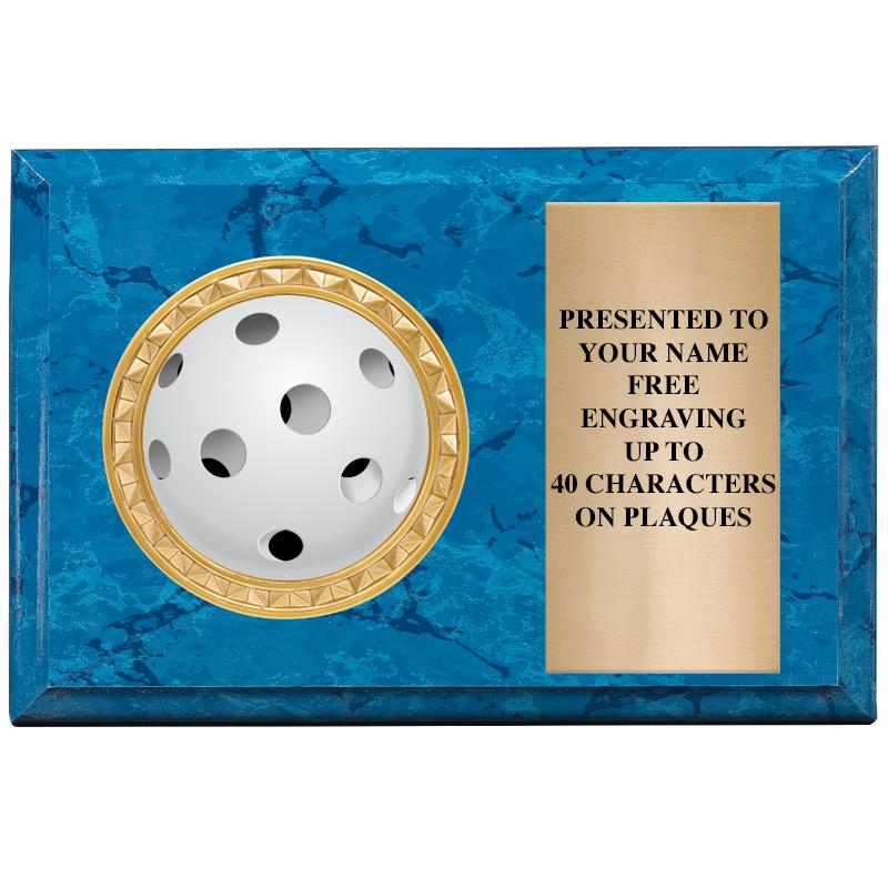 6" X 4" BLUE MBL INSERT PLQ