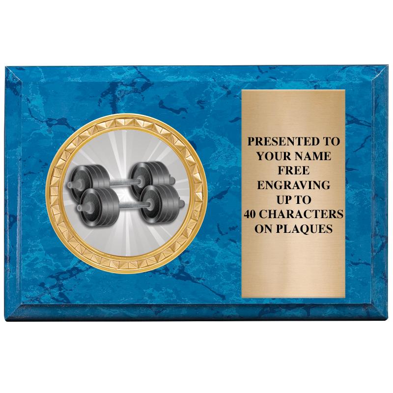 6" X 4" BLUE MBL INSERT PLQ