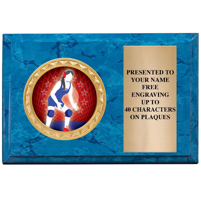 6" X 4" BLUE MBL INSERT PLQ