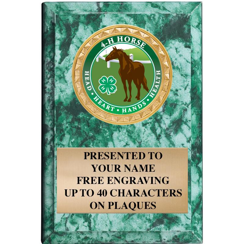 4" X 6" GREEN MBL INSERT PLQ