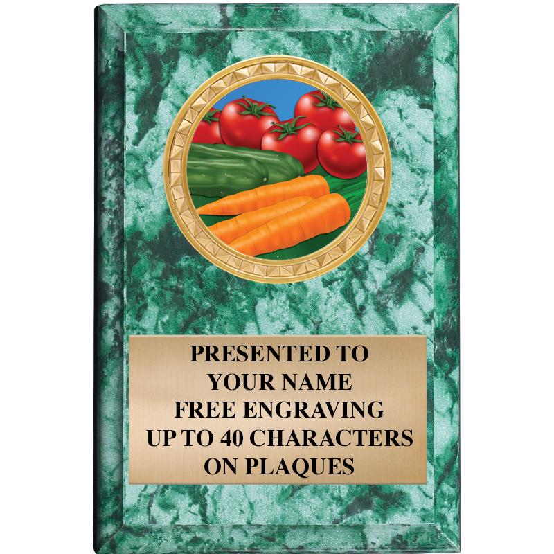 4" X 6" GREEN MBL INSERT PLQ