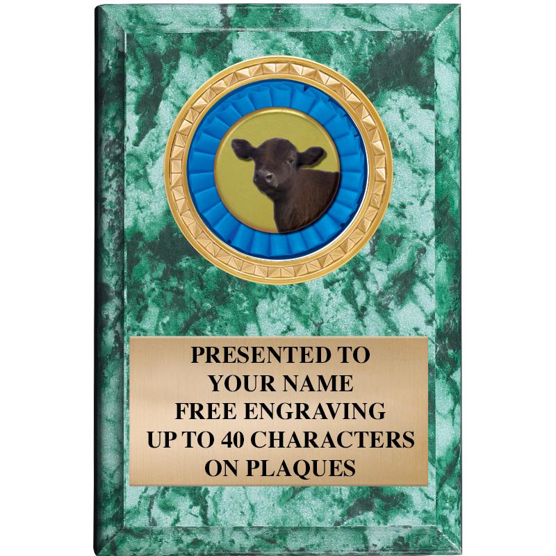 4" X 6" GREEN MBL INSERT PLQ