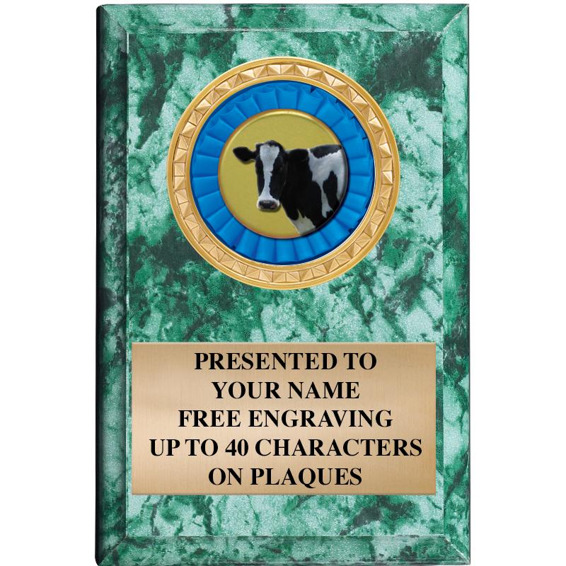 4" X 6" GREEN MBL INSERT PLQ