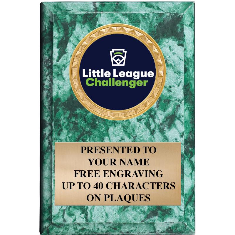 4" X 6" GREEN MBL INSERT PLQ