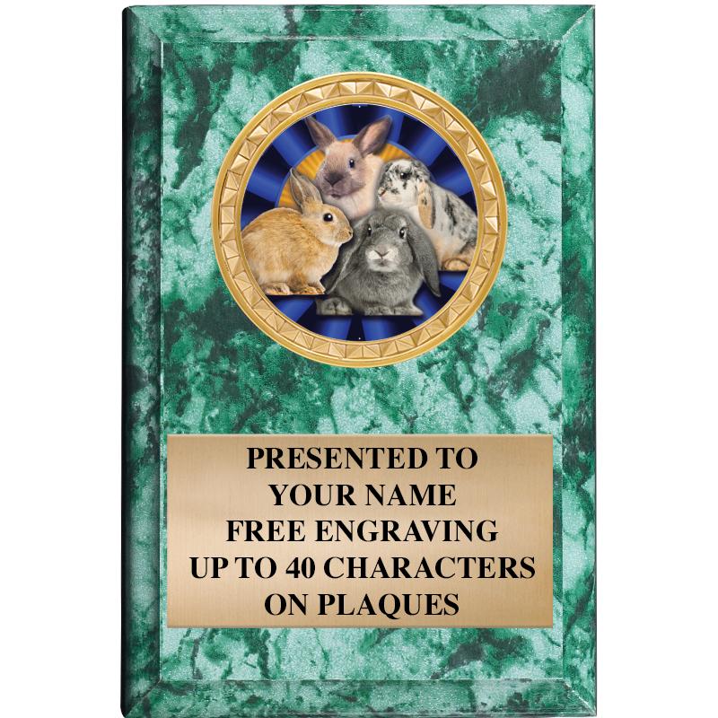 4" X 6" GREEN MBL INSERT PLQ