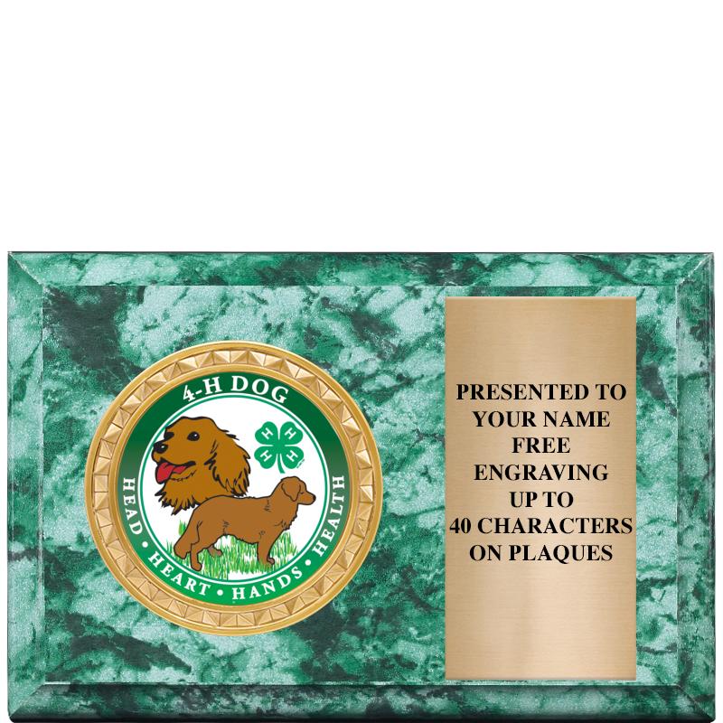 6" X 4" GREEN MBL INSERT PLQ