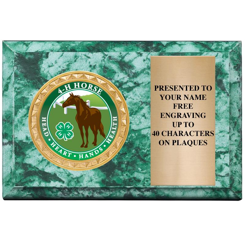 6" X 4" GREEN MBL INSERT PLQ