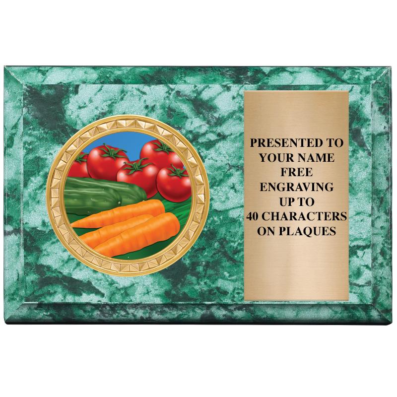 6" X 4" GREEN MBL INSERT PLQ