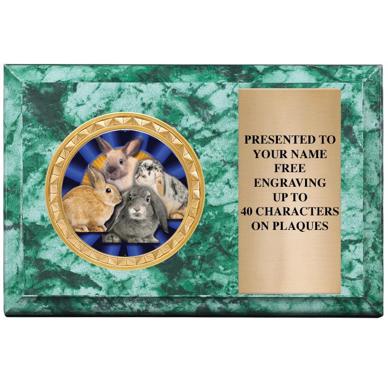 6" X 4" GREEN MBL INSERT PLQ