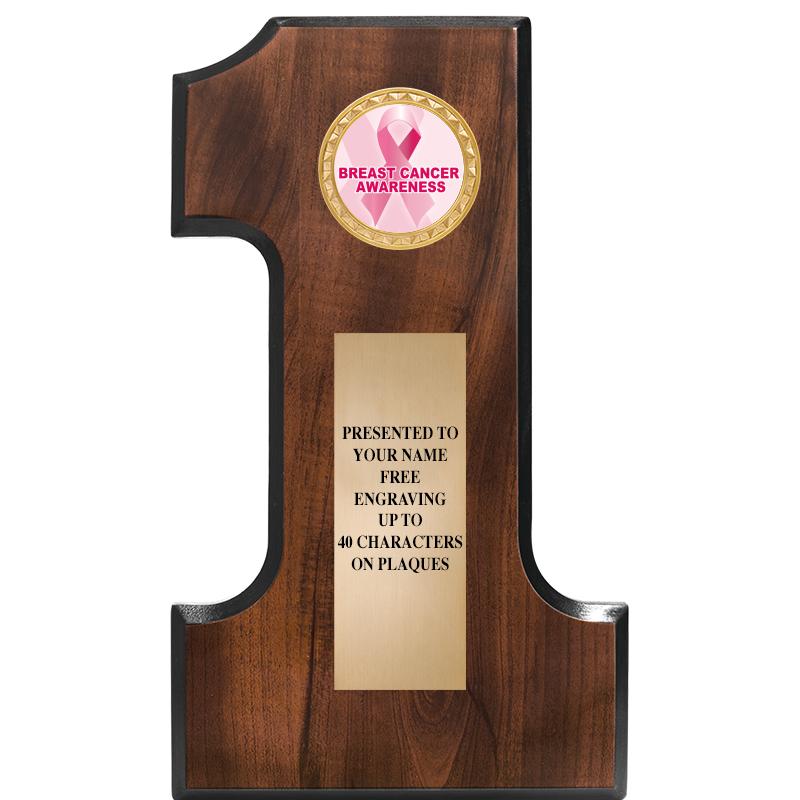 7"X12"NO 1 CHERRY FINSH INS PL