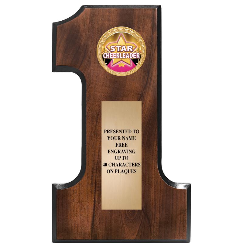 7"X12"NO 1 CHERRY FINSH INS PL