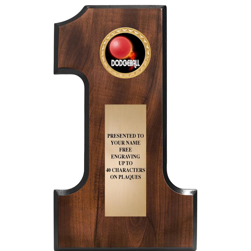 7"X12"NO 1 CHERRY FINSH INS PL