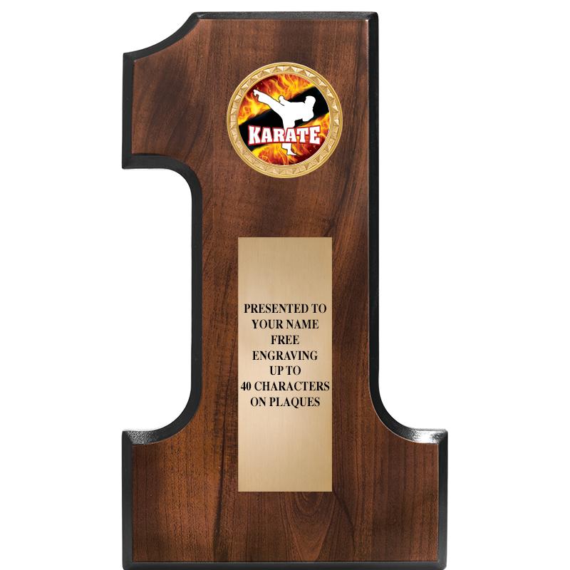 7"X12"NO 1 CHERRY FINSH INS PL