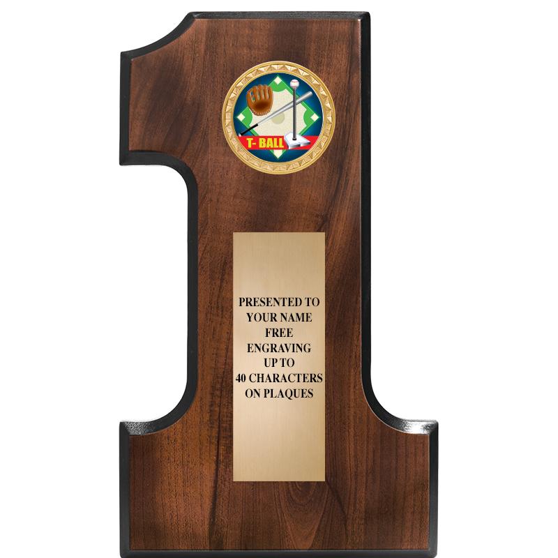 7"X12"NO 1 CHERRY FINSH INS PL