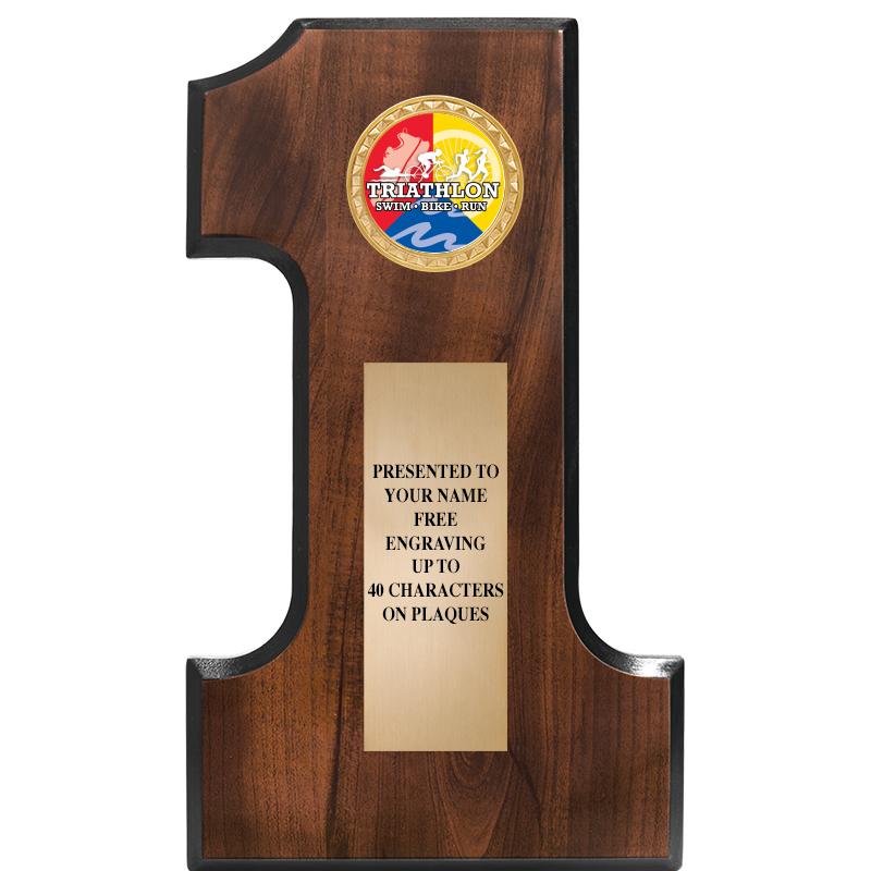 7"X12"NO 1 CHERRY FINSH INS PL