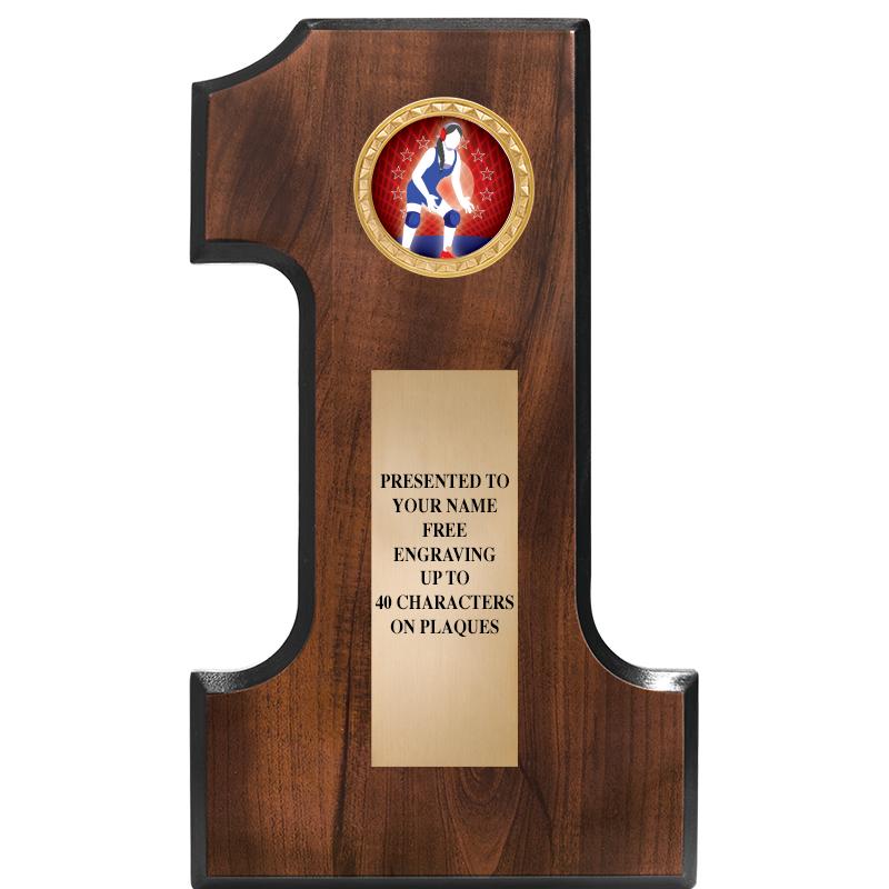 7"X12"NO 1 CHERRY FINSH INS PL