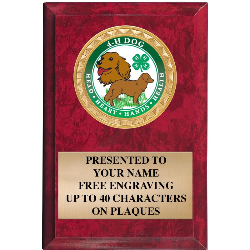 4" X 6" RED MBL INSERT PLQ