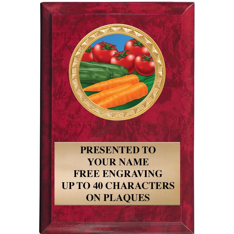 4" X 6" RED MBL INSERT PLQ