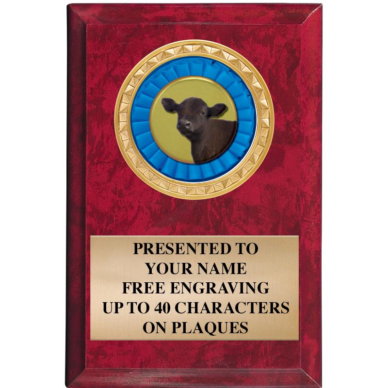 4" X 6" RED MBL INSERT PLQ