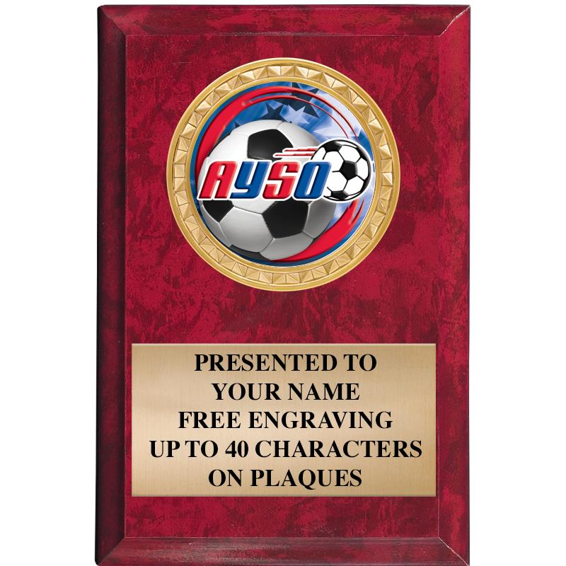 4" X 6" RED MBL INSERT PLQ