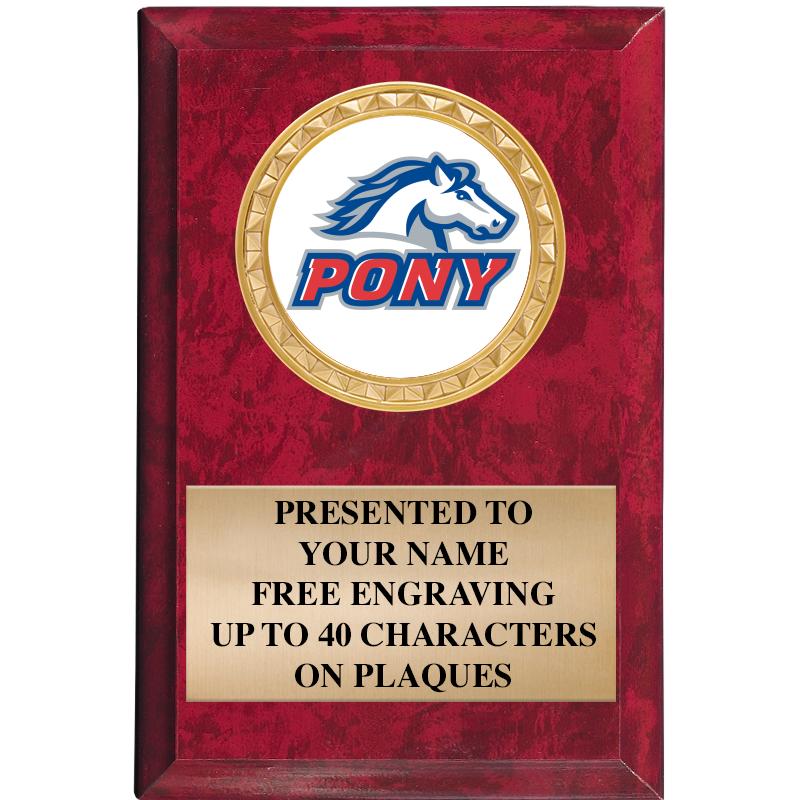 4" X 6" RED MBL INSERT PLQ