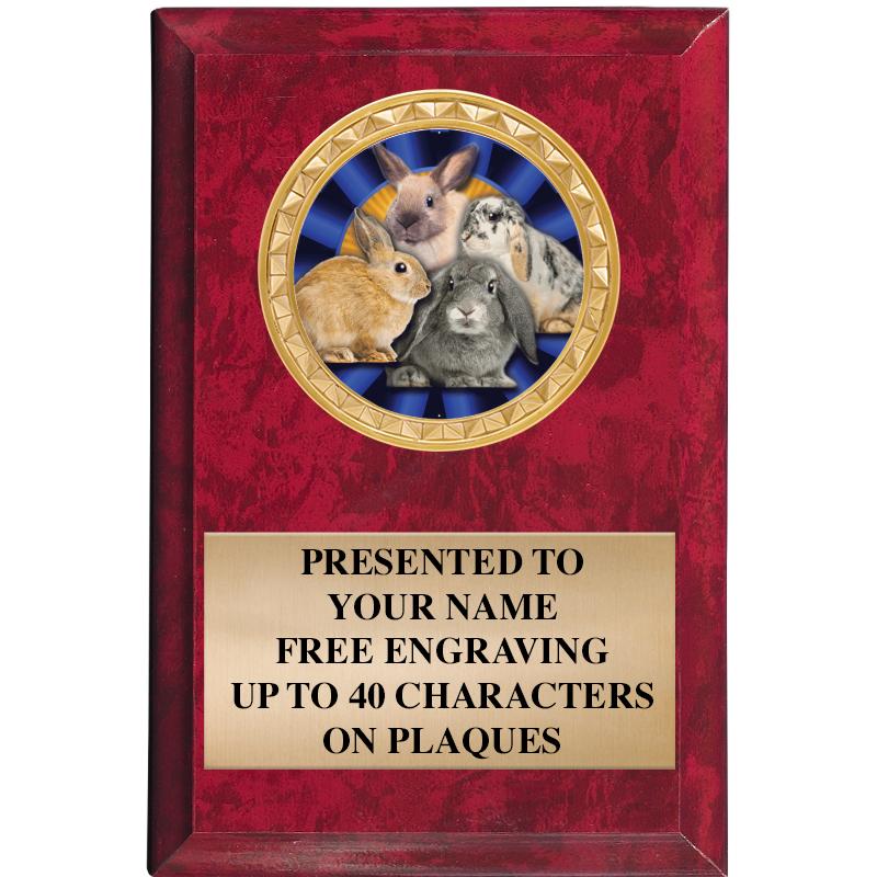 4" X 6" RED MBL INSERT PLQ