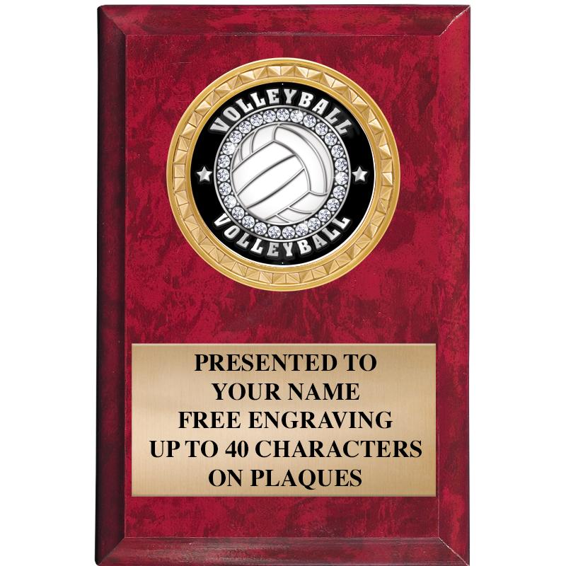 4" X 6" RED MBL INSERT PLQ