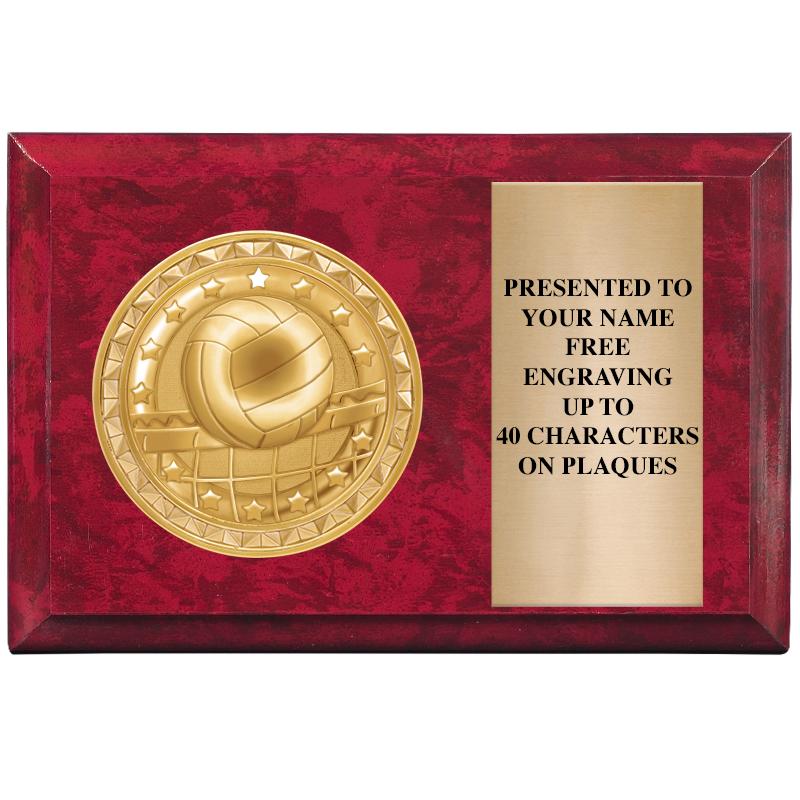 6" X 4" RED MBL INSERT PLQ