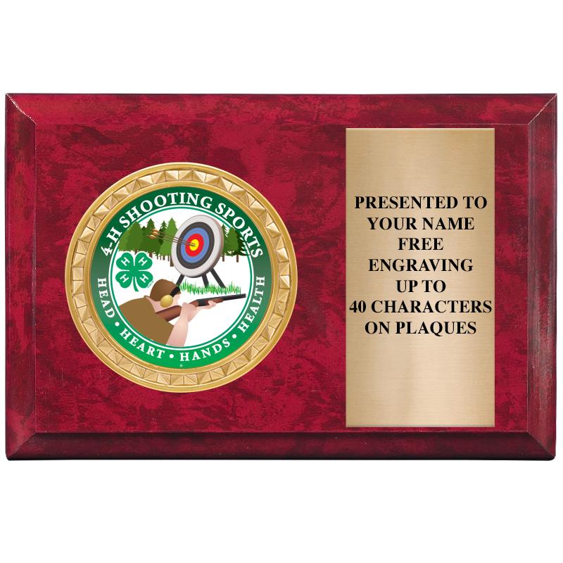 6" X 4" RED MBL INSERT PLQ